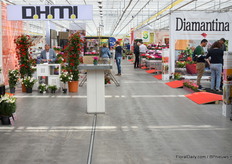 Inside of P. van Geest.